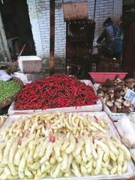 姜你軍來勢洶洶！四川內(nèi)江仔姜零售價飆升，每斤高達100元