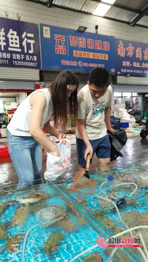 蔬菜市場零售均價環(huán)比下降，新鮮水果與梭子蟹齊上市，品味秋日第一口鮮