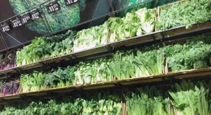 中央企業攜手中小企業 新鮮水果零售業的戰疫共贏之路