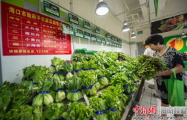 ?？陂_售4種平價菜，設立76個供應點保障市民新鮮蔬菜零售