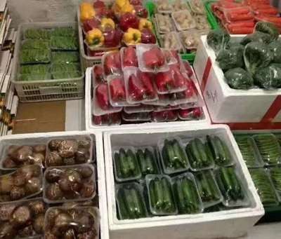 園洲蔬菜 從田間到餐桌的一站式新鮮守護